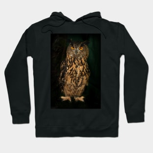 Portrait Of An Eagle Owl Hoodie